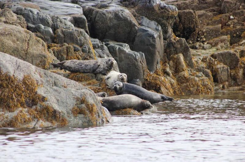 Campbell River: 4-Hour Ocean Rapids Ride - The Experience Provider and Booking Flexibility