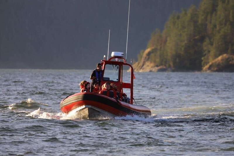 Campbell River: 6-Hour Whale Watching Boat Tour - Onboard Experience and Wildlife Encounters