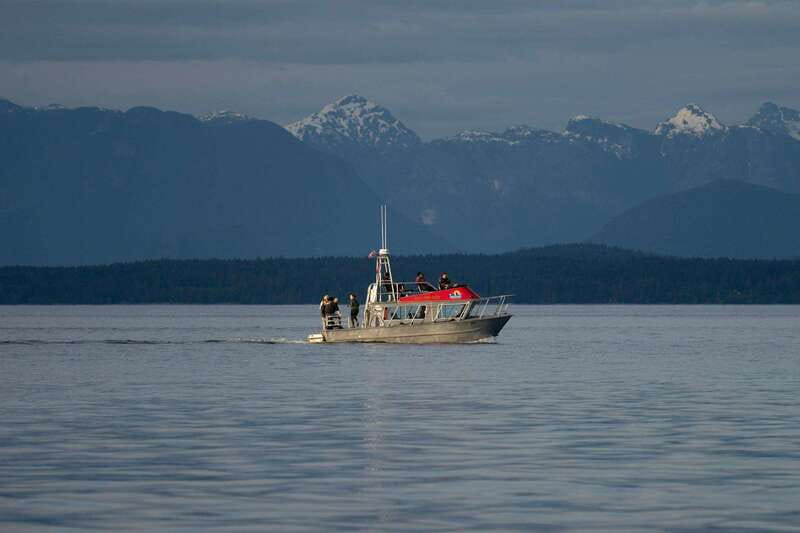 Campbell River: 6-Hour Whale Watching Boat Tour - Food and Refreshments on the Water