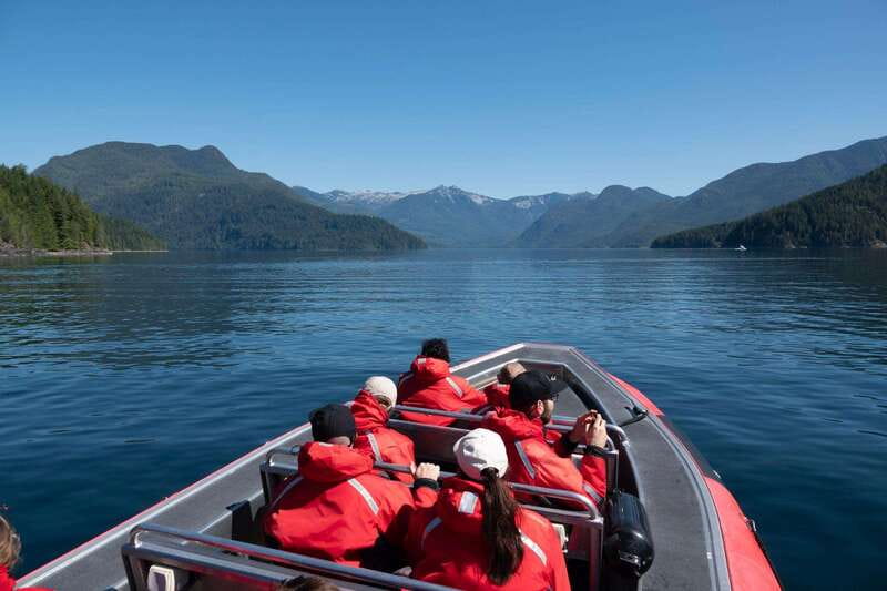 Campbell River: 6-Hour Whale Watching Boat Tour - Campbell River Whale Watching: A Trusted Choice for Marine Wildlife