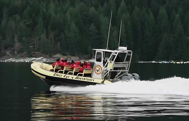 Campbell River: 6 Hour Zodiac Whale Watching Tour w/ Lunch - The Zodiac Boat Experience and Route Length