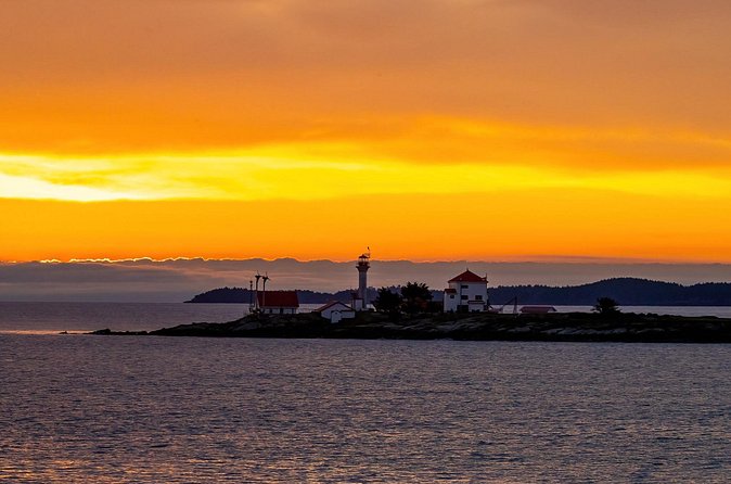 Campbell River, BC: 2 Hour Coastal Sunset Tour By Boat - Sunset and Wildlife Watching: Timing and Pacing