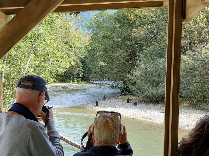 Campbell River: Deluxe Grizzlies & Indigenous Culture tour - Experience the Best of Wildlife and Indigenous Heritage in Campbell River for $632
