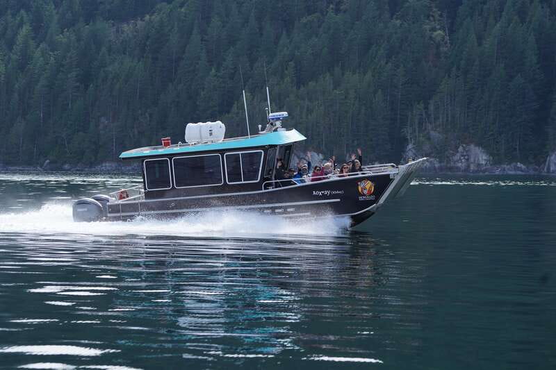Campbell River: Grizzly Bear-Watching Tour with Lunch - Support for Conservation and Indigenous Communities