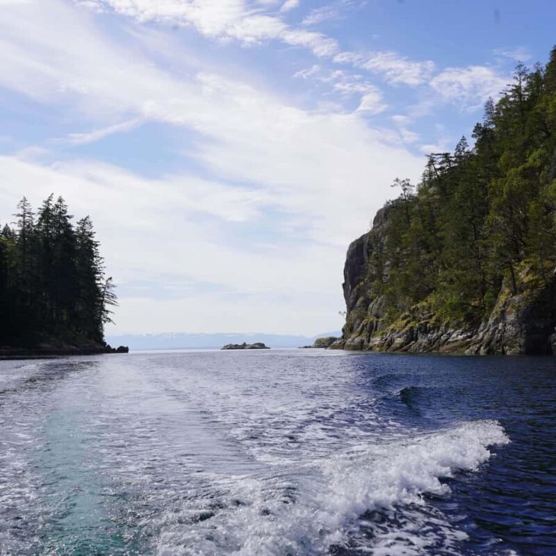 Campbell River - Private Fishing Charter with Guide - Pacing and duration of the fishing trips