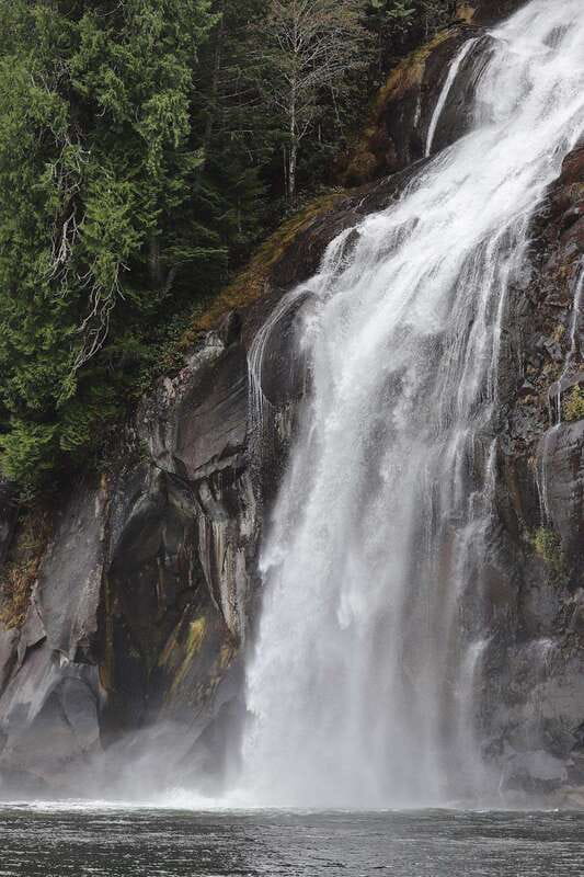 Campbell River: Spring Bear Watching & Waterfalls Boat Tour - Food, Beverages, and Dietary Accommodations