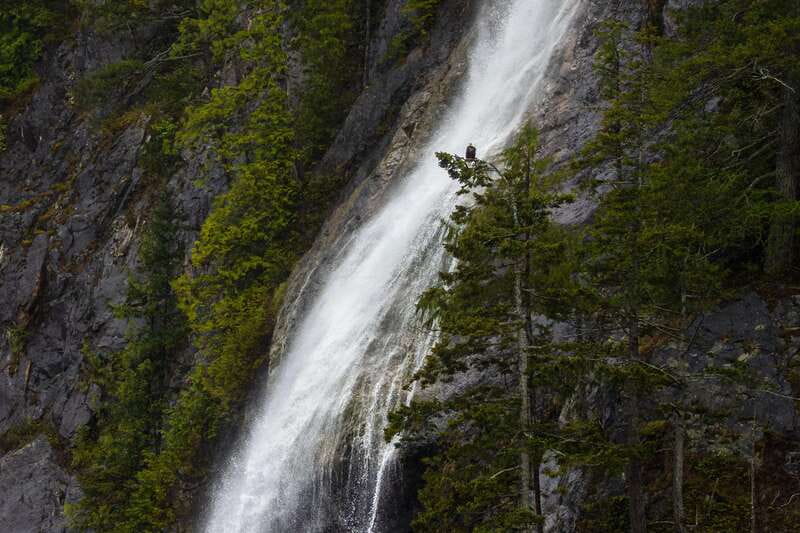Campbell River: Spring Bear Watching & Waterfalls Boat Tour - Booking Flexibility and Cancellation Policy