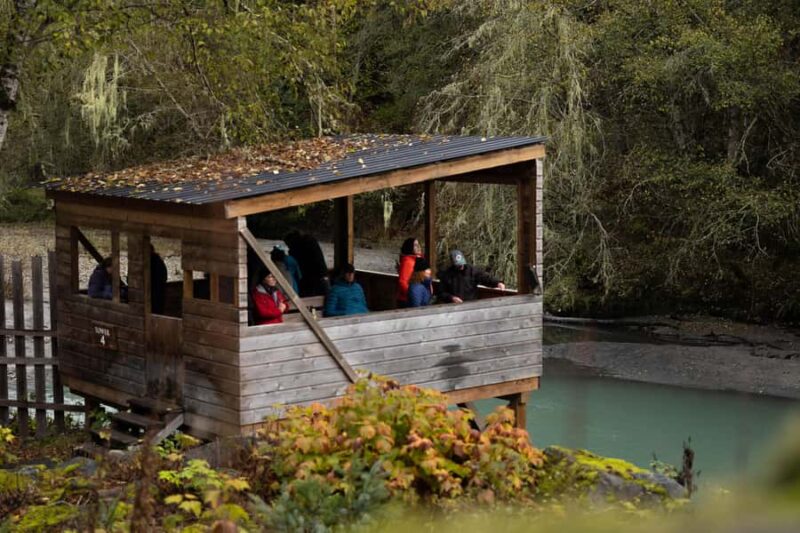 Campbell River: Toba Bears and Wilderness Grizzly Bear Tour - Key Points