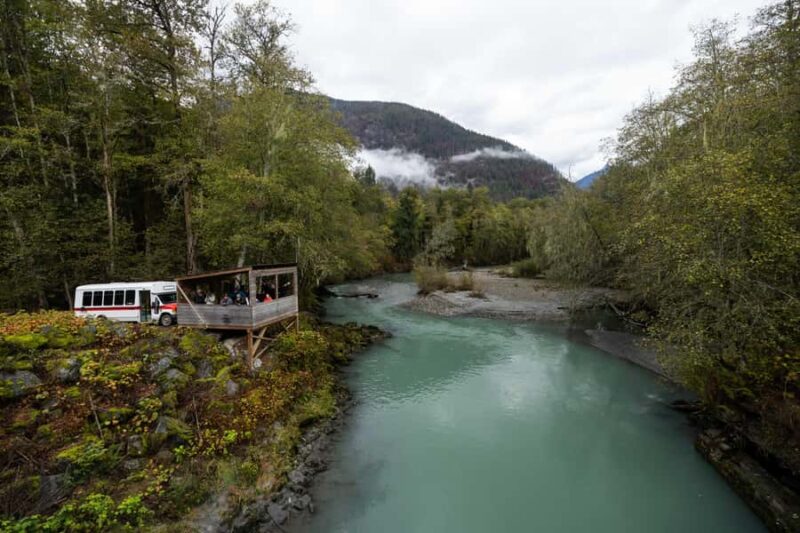 Campbell River: Toba Bears and Wilderness Grizzly Bear Tour - What the Toba Inlet and Salish Sea Offer in Scenery