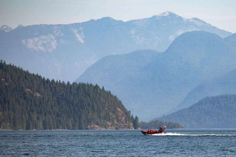 Campbell River: Whale & Wildlife Discovery Cruise - What’s Included in the Tour: Snacks, Safety, and Comfort