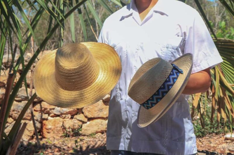 Campeche: A Mayan journey through bones and cochinita - Is This Tour Worth It for You?