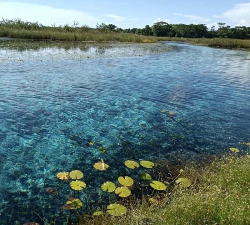 Campeche: Palenque, Sabancuy, & Palizada 2-Day Tour - Explore the Natural Wonders of Chiapas in Two Days