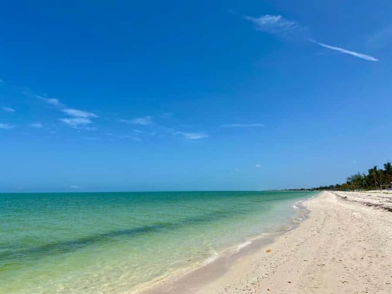 Campeche: Palenque, Sabancuy, & Palizada 2-Day Tour - An Overnight Experience in Natural Surroundings