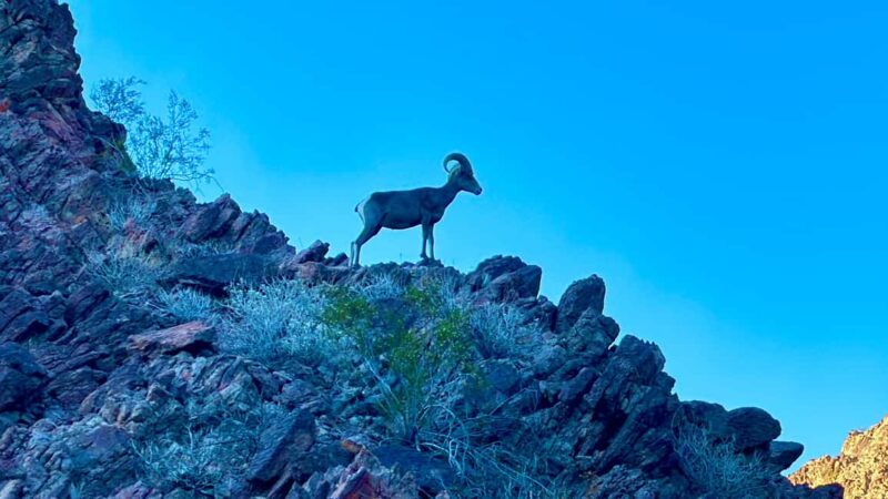 Camping Las Vegas Trip from Base of Hoover Dam, Black Canyon - Discover the Camping Las Vegas Trip from the Hoover Dam Base