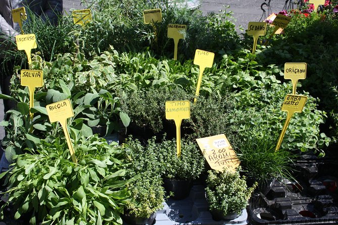 Campo dei Fiori Market and Trevi Fountain District Food & Wine Tour in Rome - Logistics: Meeting Point, Group Size, and Pacing