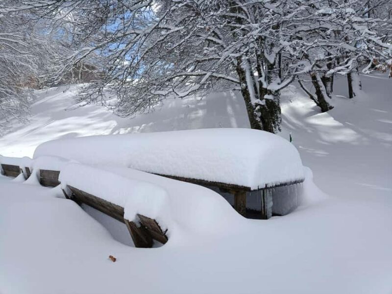 Campo Felice: Snowshoeing Tour with Guide - Snowshoeing Trails for Every Skill Level