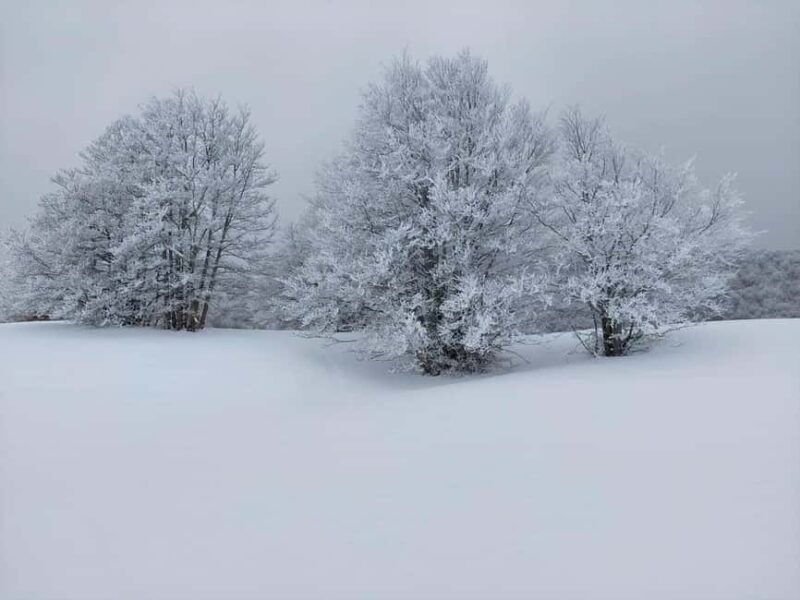 Campo Felice: Snowshoeing Tour with Guide - Who Will Enjoy This Tour Most