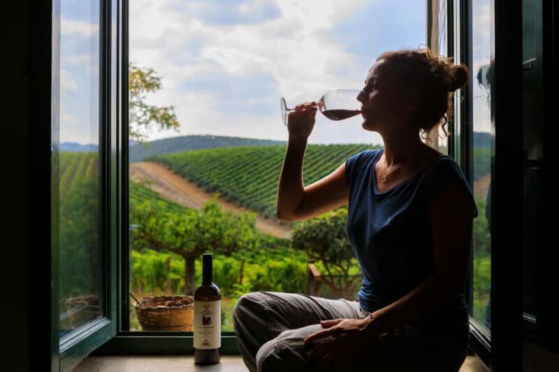 Camporeale: Sallier de La Tour Wine Discovery Tour - Practical Details: Meeting Point and Accessibility