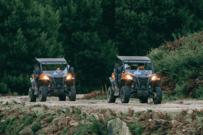 Can-Am Experience - The Sum Up: An Exciting Ride with Breathtaking Views