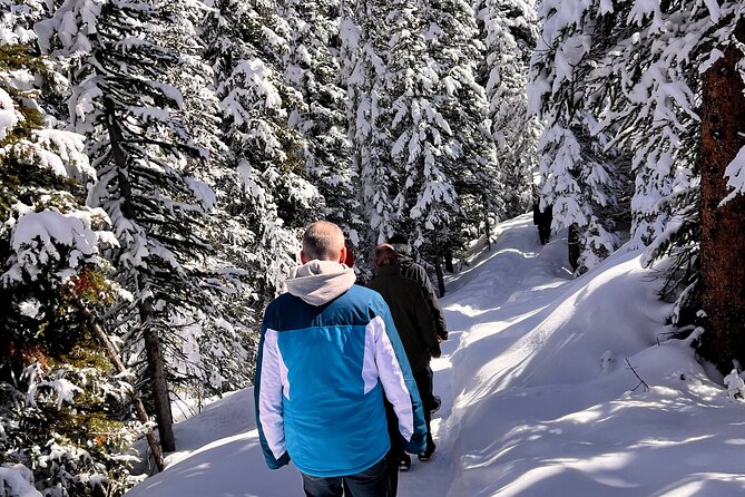 Can/Banff :Columbia Icefield, Crowfoot Glacier and Bow Lake, Tour - Crowfoot Glacier: A Unique and Changing Formation