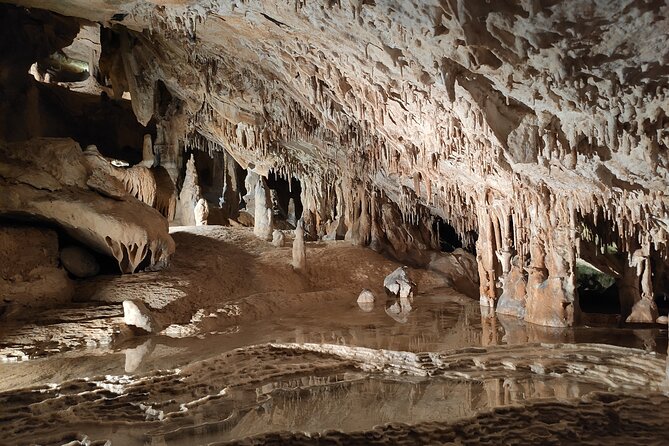 Can Marca, Las Dalias Hippie Market and Benirras Tour - Key Points