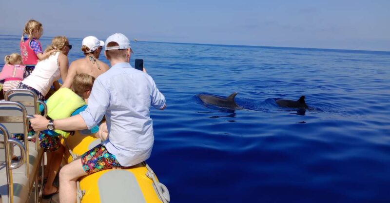 Can Picafort: Dolphin Watching Boat Tour, Swimming stop - Exploring Mallorca’s Northern Coastline