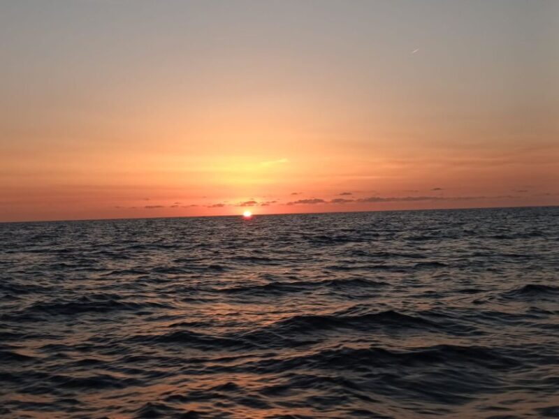 Can Picafort: Dolphin Watching Boat Tour, Swimming stop - Practicalities: Meeting Point, Group Size, and Guides