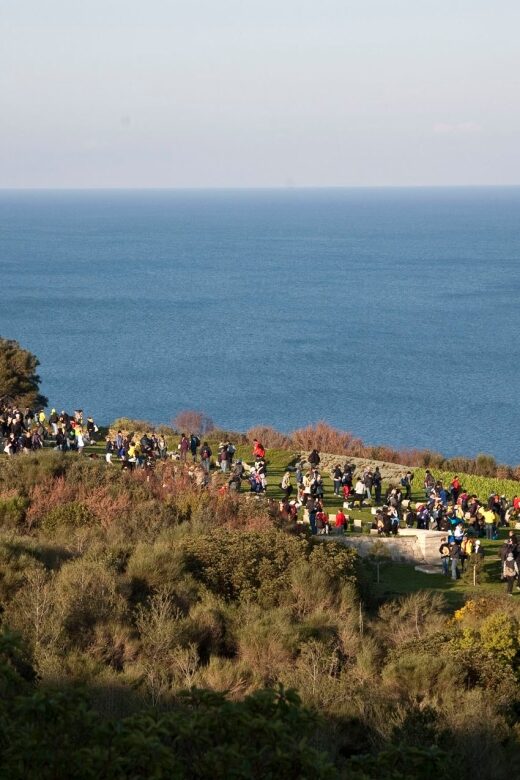 Canakkale: 6-Hour Gallipoli Tour with Lunch - Key Points