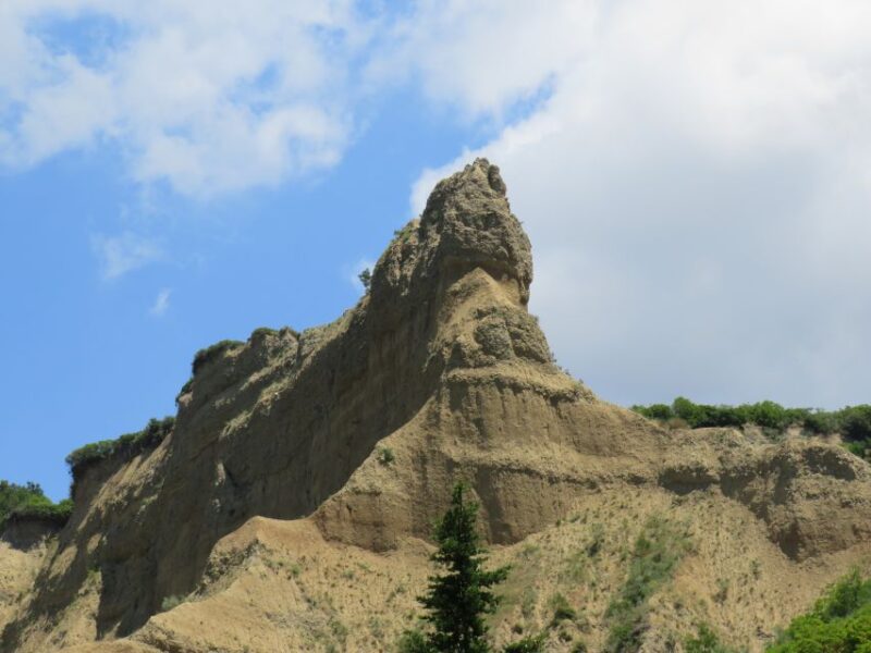 Canakkale: Full-Day Troy and Gallipoli Tour - Practicalities: Logistics, Transport, and Pace