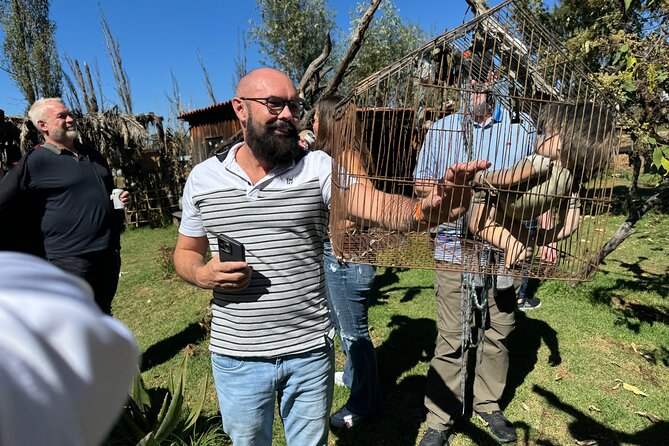 Canals Boat Tour + Doll Island + Ajolote Shrine - Discovering the Sanctuary of the Mexican Ajolote