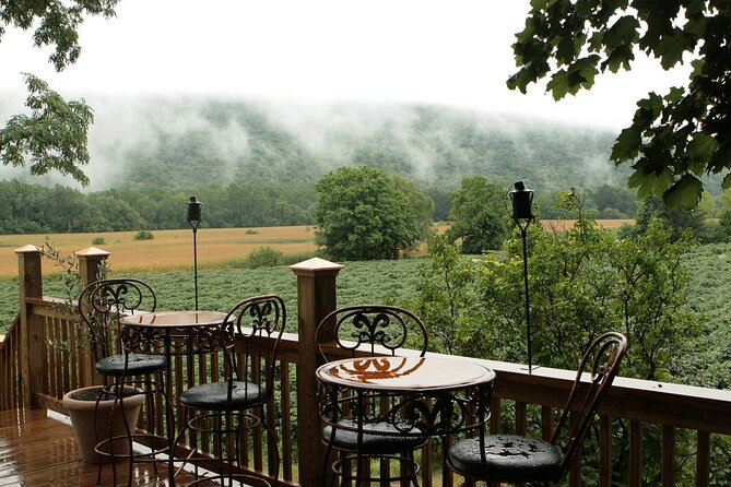 Canandaigua Wine Trail Experience - Discovering Inspire Moore Winery & Vineyard