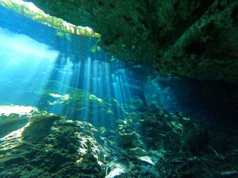 Cancun 2 Cenote Dives: The Pit + Nicte Ha - Certified Divers - A Unique Adventure in Quintana Roos Cenotes for Certified Divers