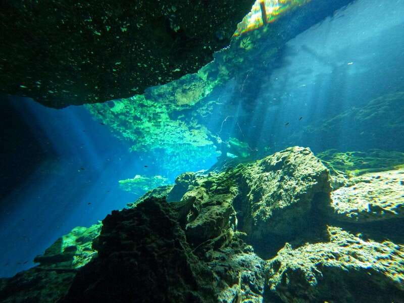 Cancun 2 Cenote Dives: The Pit + Nicte Ha - Certified Divers - The Role of Guides and Multilingual Support