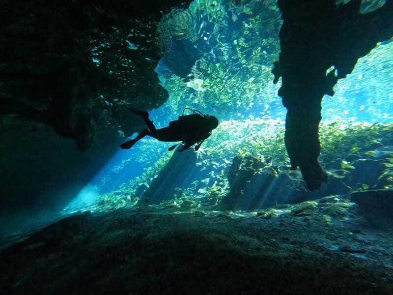 Cancun 2 Cenote Dives: The Pit + Nicte Ha - Certified Divers - Summary of the Experience and Key Highlights