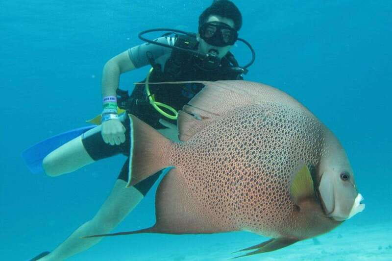 Cancún: 2-Day PADI Open Water Diving Course - Weather and Safety Considerations in Cancún