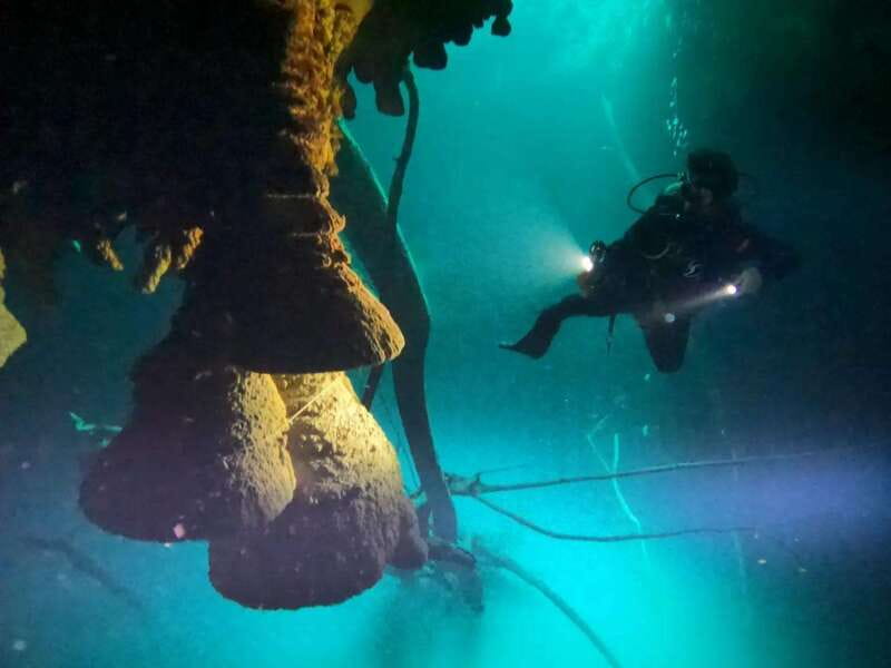 Cancun: 2 Dives in Cenotes Ki Ha + Zapote - Certified Divers - Exploring the Stunning Cenotes of Ki Ha and Zapote