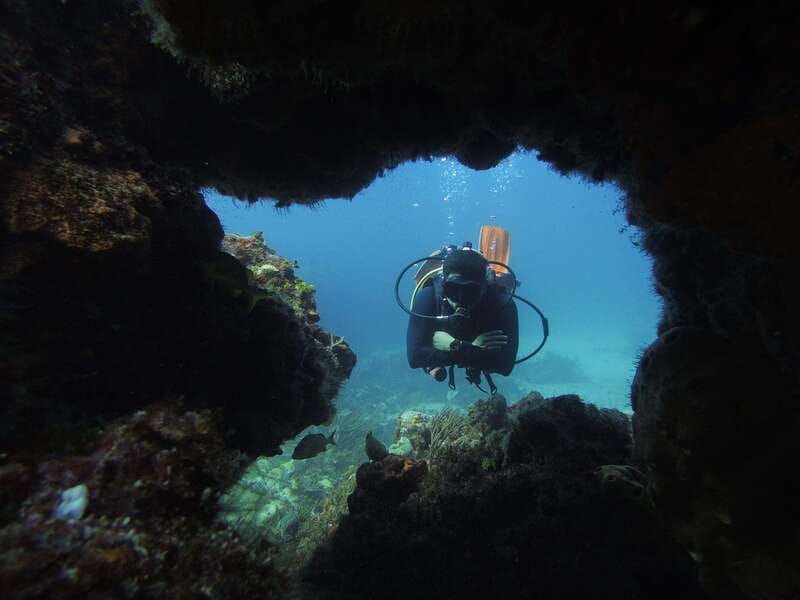 Cancun: 2 Reef Dives at Punta Cancun for Certified Divers - Cancun: 2 Reef Dives at Punta Cancun for Certified Divers — A Detailed Review