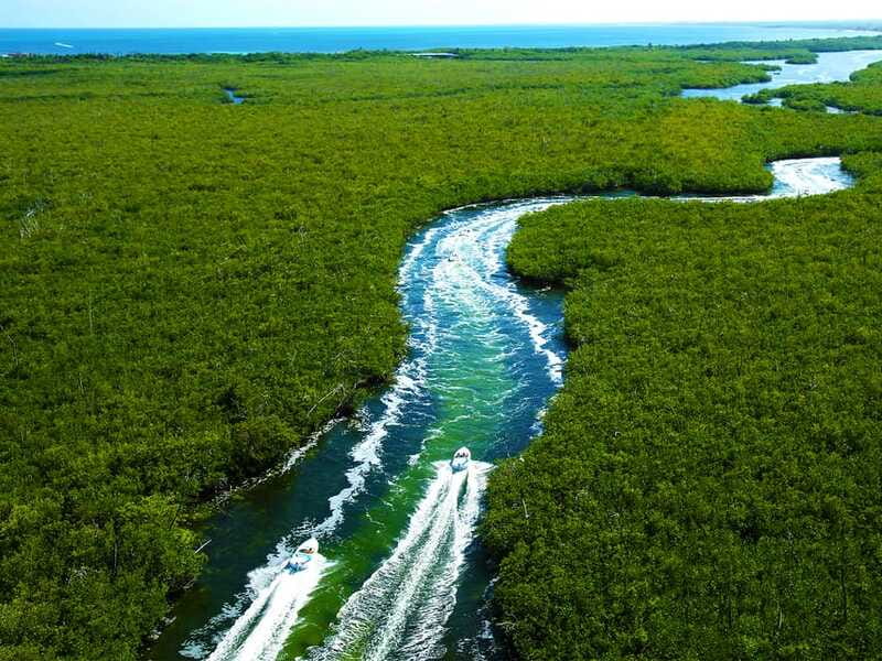 Cancun: 2Hour Speedboat Experience - The Unique Highlights of This Cancun Tour