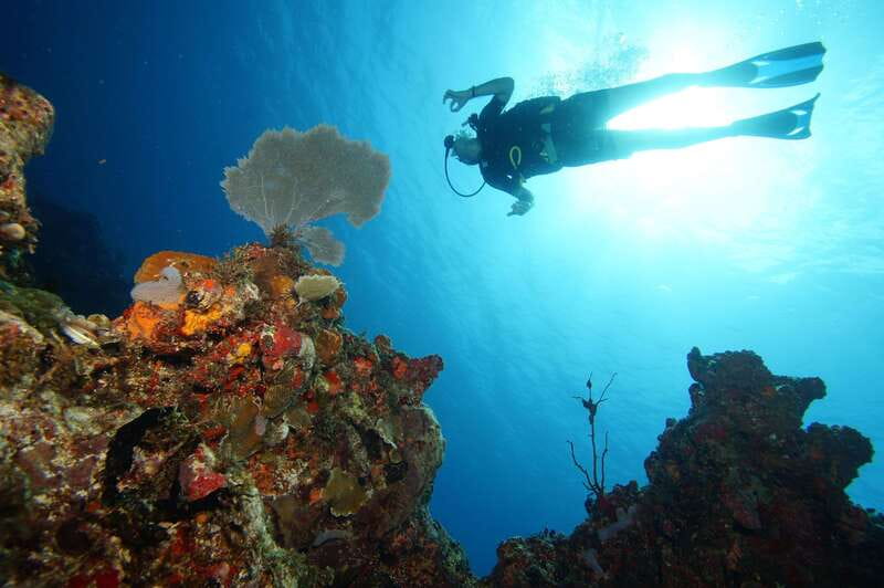 CANCUN: 2T REEF DIVES FOR CERTIFIED DIVERS - Accessibility and Restrictions