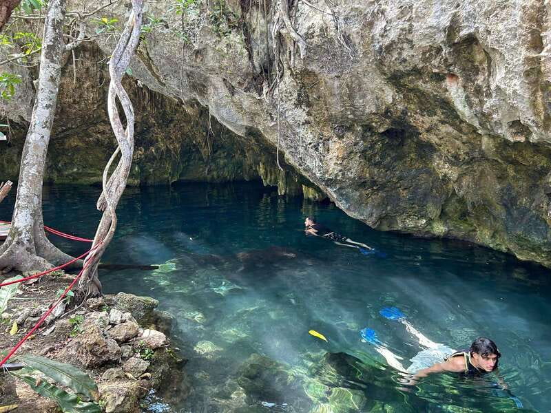 Cancun: 3 Cenotes & 1 Lagoon Tour - Key Points