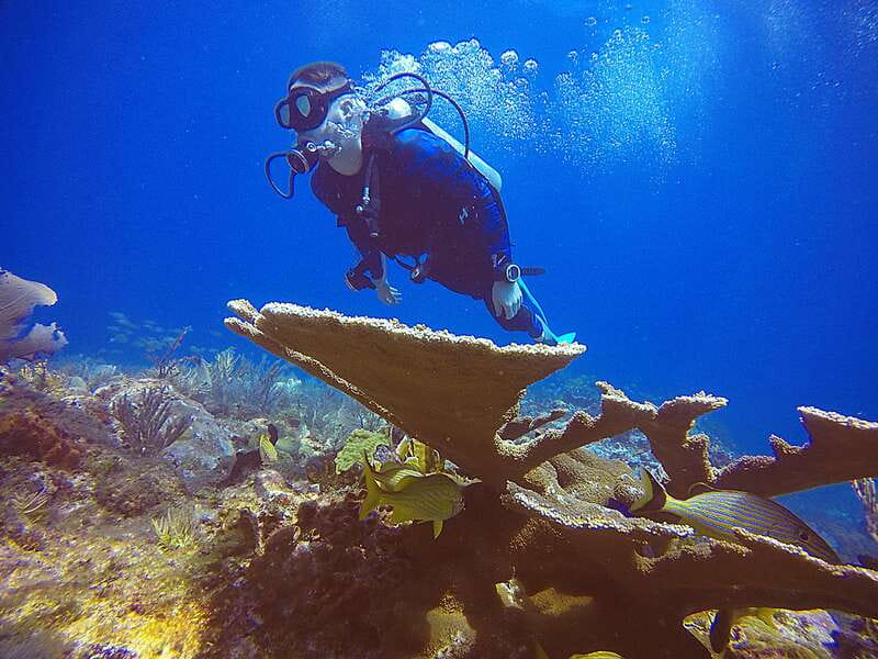 Cancun: 3 Days SDI Open Water Diver Certification - Physical Requirements and Health Considerations