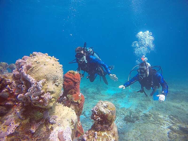 Cancun: 3 Days SDI Open Water Diver Certification - Cancellation and Booking Flexibility