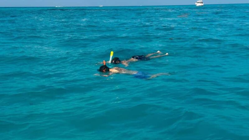 Cancun: 4-Hour Snorkeling Adventure for All Ages - What to Expect During the Snorkeling Session