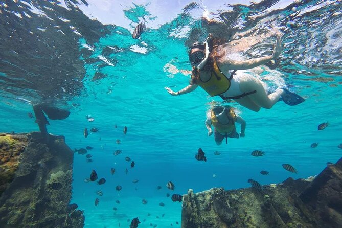 Cancun 6 in 1 Snorkeling Tour: MUSA, Shipwreck, Reefs & Cenotes - Key Points