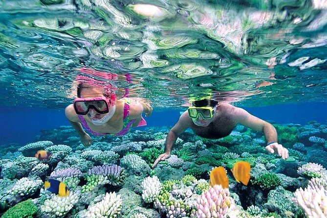 Cancun 6 in 1 Snorkeling Tour: MUSA, Shipwreck, Reefs & Cenotes - Practical Aspects: Comfort, Safety, and Convenience