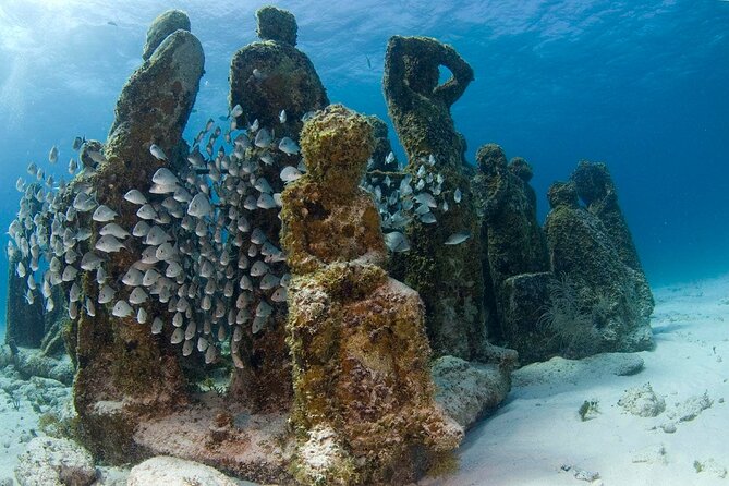 Cancun 6 in 1 Snorkeling Tour: MUSA, Shipwreck, Reefs & Cenotes - Pricing, Additional Fees, and Booking Insights