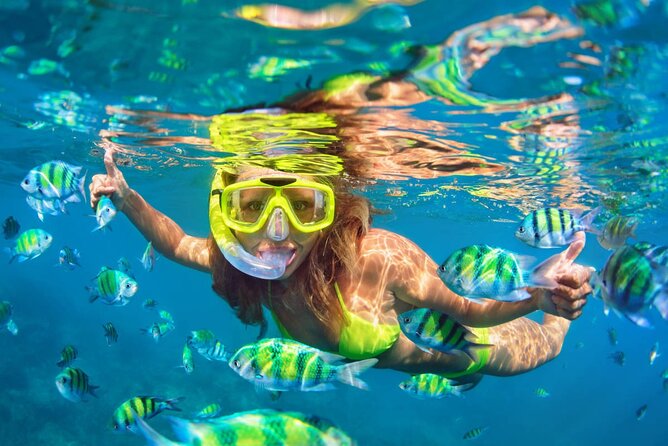 Cancun 6 in 1 Snorkeling Tour: MUSA, Shipwreck, Reefs & Cenotes - Why This Tour Fits Certain Travelers