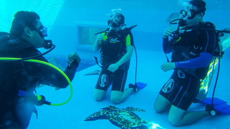 Cancun: Aquaworld Scuba Diving School - Booking, Check-in, and Practicalities
