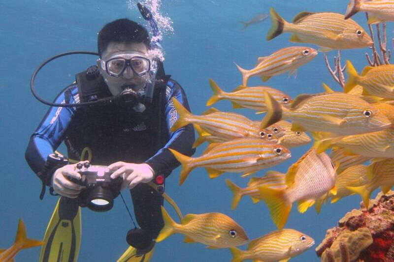 Cancun: Beginner Scuba Diving at Underwater Museum - Reviews and Real-World Feedback