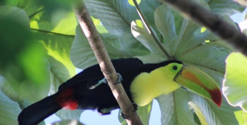 Cancún: Birds Photography Expedition with Transportation - The Route and Stops in Quintana Roo